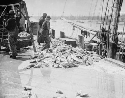 Unloading Gorton